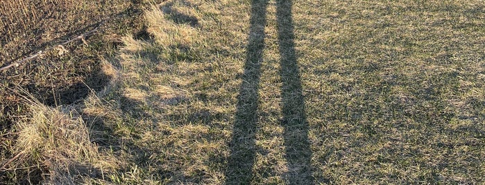 Middlefork Savanna Forest Preserve is one of Parks.