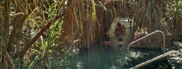 Katherine Hot Springs is one of Lieux qui ont plu à Andreas.