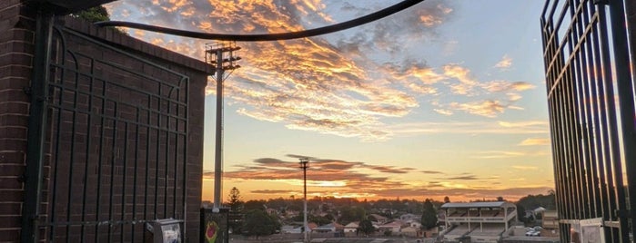 Henson Park is one of 2Parrots &Cockatoo Bird's Run!.