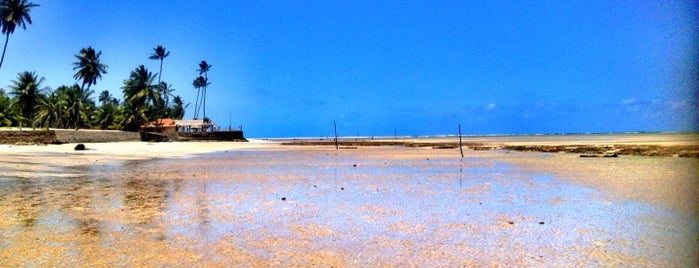 Praia de Peroba is one of Praias de Alagoas.