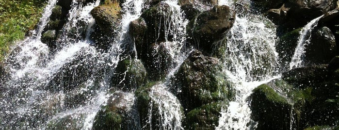 Sapanca İzmit bolu