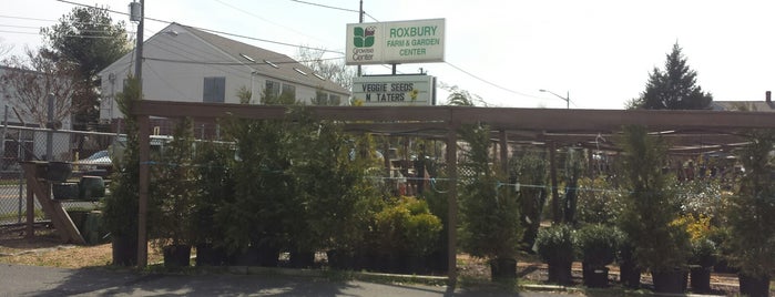 Roxbury Farm and Garden Center is one of gone but not forgotten.