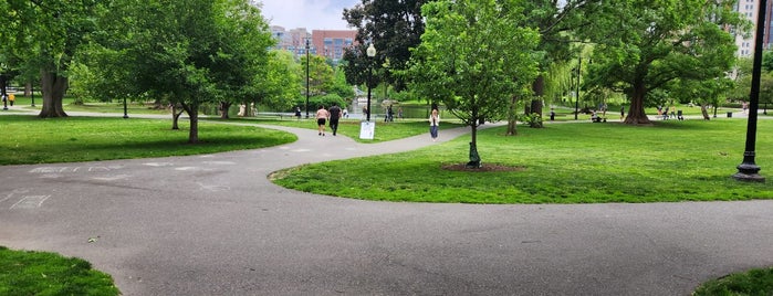 Boston Public Garden is one of Boston Trip Ideas.