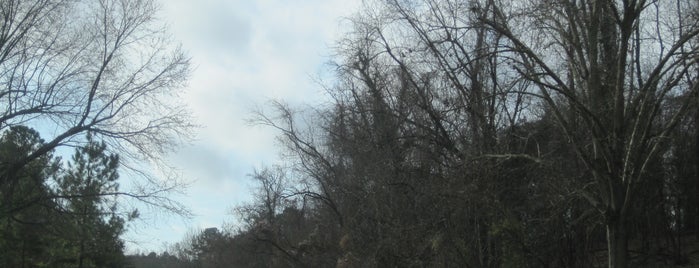 Colonial Parkway and Route 132-Y is one of Williamsburg.