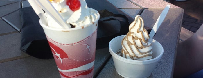 Carousel Frozen Treats is one of Local Virginia Ice Cream Places.