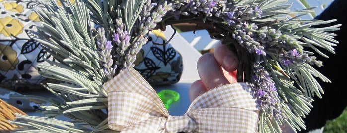 Seven Oaks Lavender Farm is one of Places to Visit in VA.