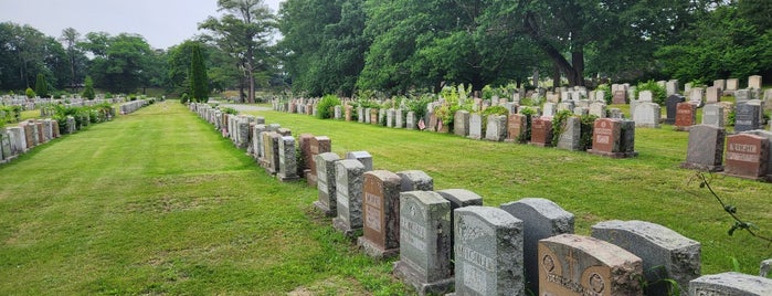 Evergreen Cemetery is one of Boston Trip Ideas.