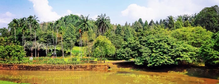 Taman Botani Bike Rental is one of XTVT.