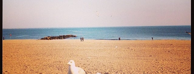 Brighton Beach is one of NYC Itinerary.