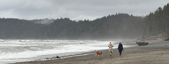 Rialto Beach is one of Pacific North.