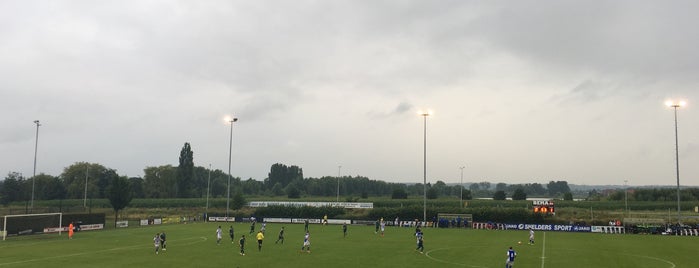 Arnhemse Boys Schuytgraaf is one of Bezochte buitenlandse stadions.
