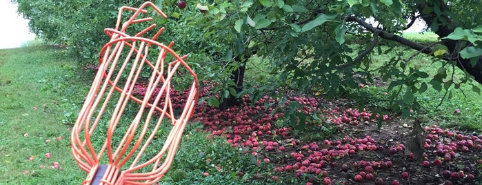 Stribling Orchard is one of Apple farms.