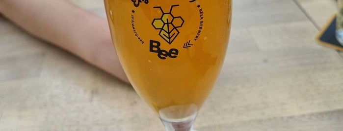 Brasserie De Zeven Deugden is one of Horeca.