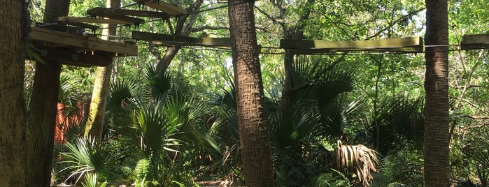 Treetop Trek At Brevard Zoo is one of Want To Go.