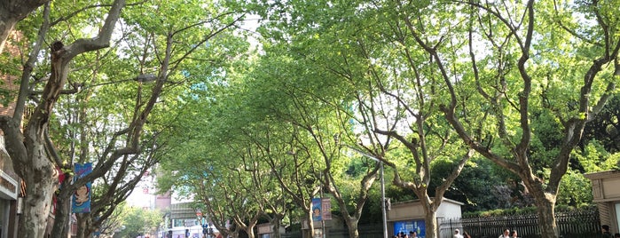 Maoming Road is one of Shanghai.