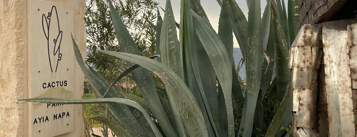Cactus Park is one of Кипр 🇨🇾.