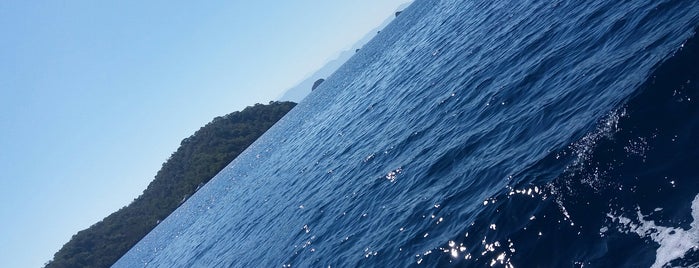 göcek 12 adalar tekne turu is one of สถานที่ที่ Tansu ถูกใจ.