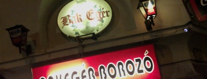 Bakegér Borozó is one of The best cheap pubs in downtown Budapest.