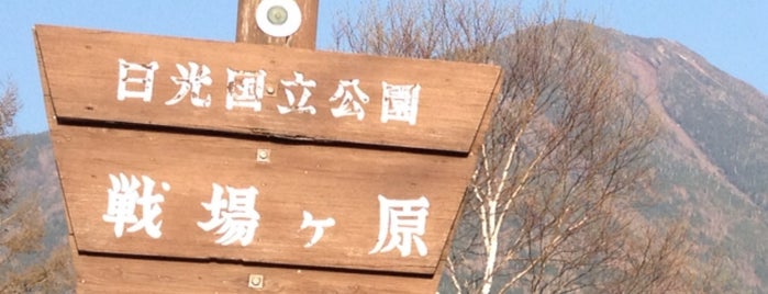 Senjogahara Moor is one of 栃木.