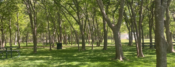 Northtown Disc Golf Park is one of dog friendly in North Austin.