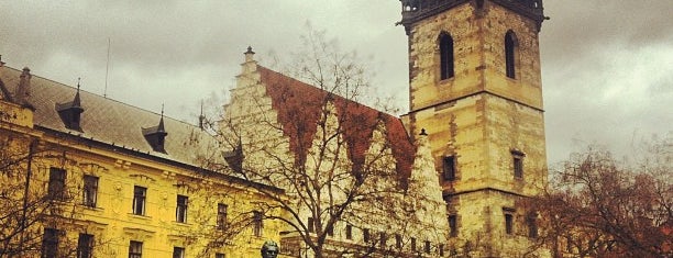 Charles Square is one of Zlata Praha.