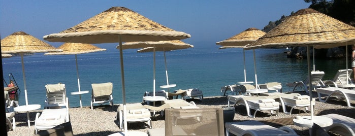 Hillside Beach Club is one of Akdeniz.