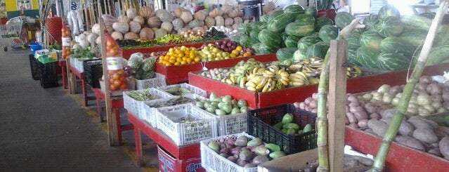 Houston Farmers Market is one of Locais salvos de Oliver.