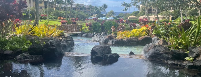 Koloa Landing Resort at Poipu, Autograph Collection is one of Lieux qui ont plu à eric.