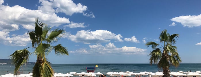 Cayo Beach Bar is one of Posti salvati di Silvina.