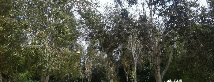 Parque de  San Roque is one of Jardines de Torrevieja.