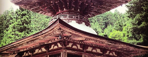 金剛三昧院 is one of 多宝塔 / Two Storied Pagoda in Japan.