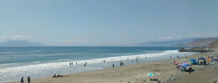 Playa Amarilla is one of Antofagasta.