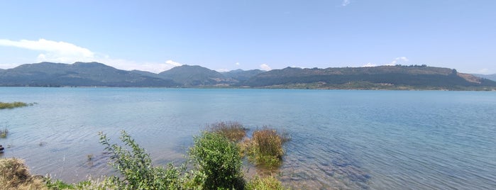 Embalse Machicura is one of Visitados.