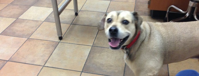 PetSmart is one of Julie's things to do.