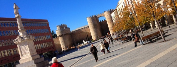Puerta del Alcázar is one of Castilla y León.