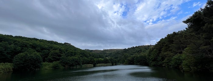 Nisi (Aşıklar Göleti) is one of Gidilesi Sinop Mekanları.