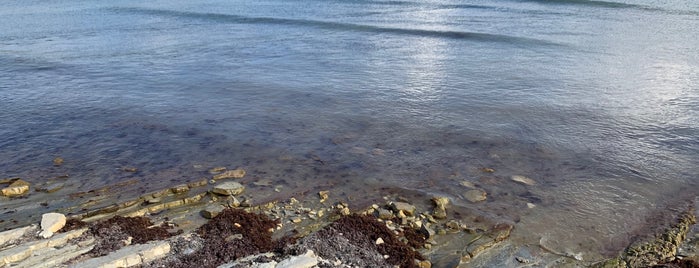 Пляж на тонком мысе is one of Геленджик.