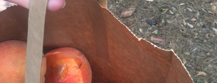 Emory Farmers Market is one of To do in ATL.