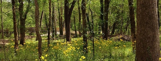 Lionel Hampton Greenway Trail is one of Lugares favoritos de Wendy.