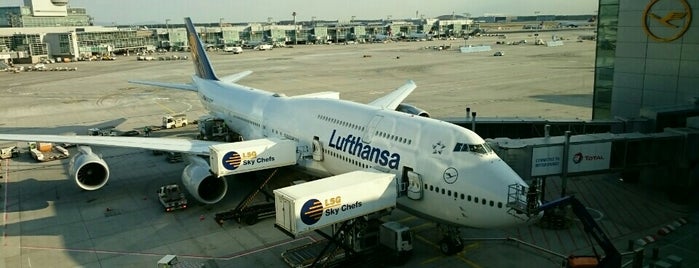 Aeropuerto de Fráncfort del Meno (FRA) is one of Airports Visited.