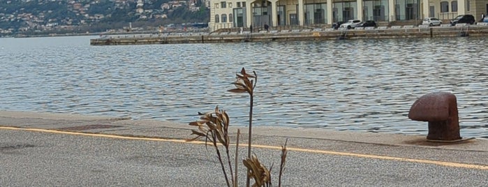 Trieste Harbour is one of Locais curtidos por Michael.