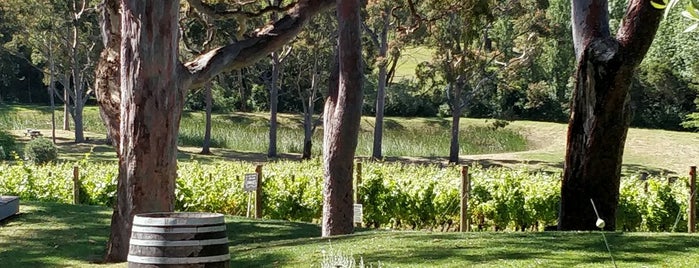 Polperro Winery is one of Melb excursions.