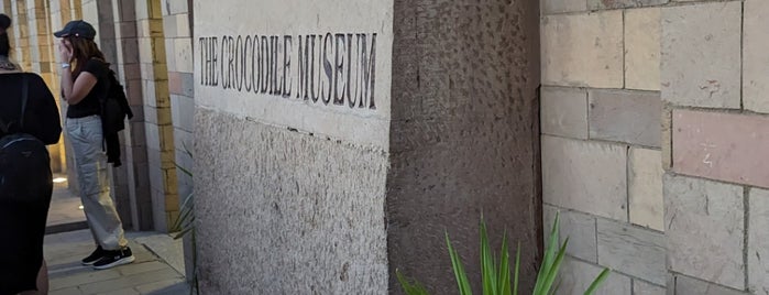The Crocodile Museum is one of Egypt Museums.
