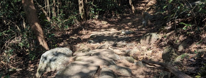 Lantau Trail (Section 1) 鳳凰徑（第一段） is one of Hiking HKG.