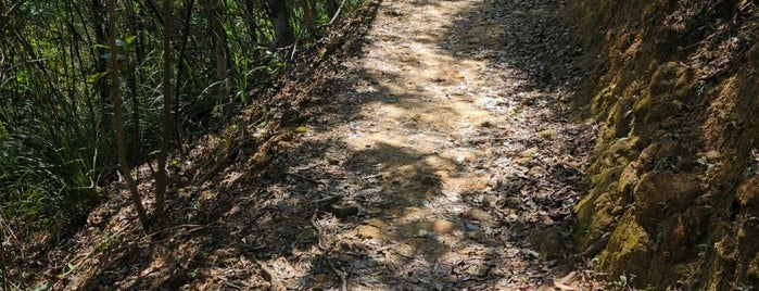 Hong Kong Trail (Section 3) is one of Hiking HKG.