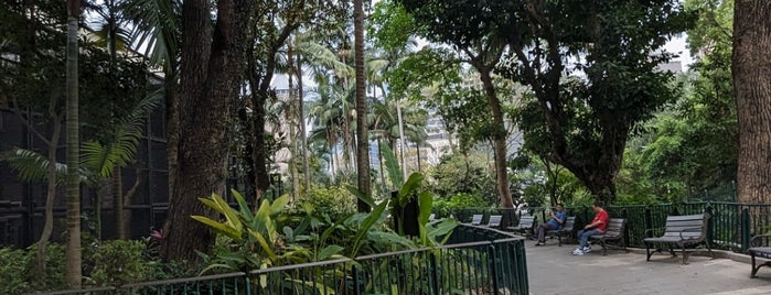 Hong Kong Zoological and Botanical Gardens is one of Fragrant Harbour HK.