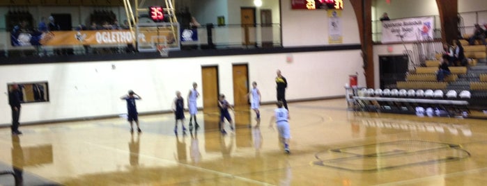 Oglethorpe Basketball Gym is one of Lieux qui ont plu à Chester.