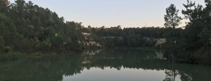 Lac de Touvérac is one of Bordeaux.