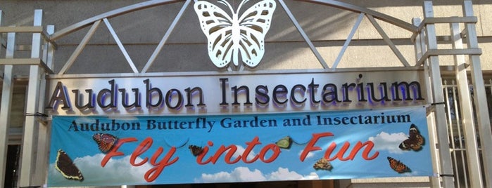 Audubon Insectarium is one of New Orleans List.