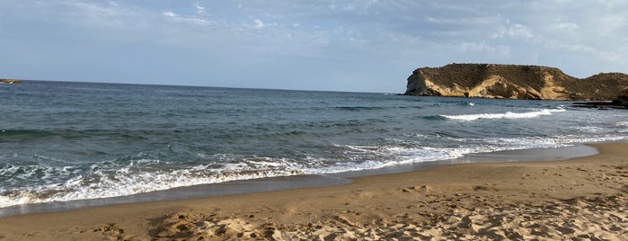 La Higuerica is one of Playas.